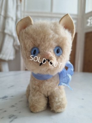 画像4: フレンチブルーアイキャット