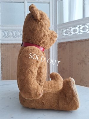 画像6: JPMテディベア