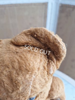 画像15: JPMテディベア