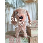 画像: フランス垂れ耳ピンクドッグ