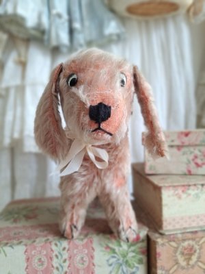 frenchvintagedog