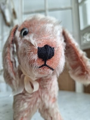 画像3: フランス垂れ耳ピンクドッグ