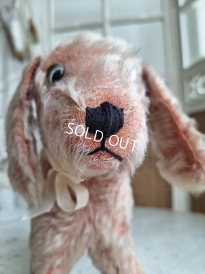 画像3: フランス垂れ耳ピンクドッグ