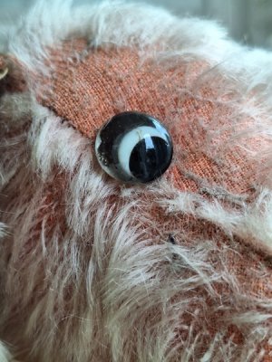 画像4: フランス垂れ耳ピンクドッグ