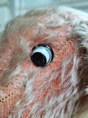 画像5: フランス垂れ耳ピンクドッグ