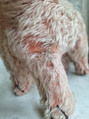 画像8: フランス垂れ耳ピンクドッグ