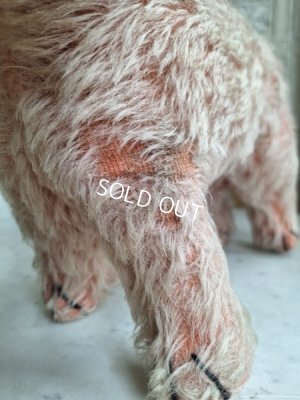 画像8: フランス垂れ耳ピンクドッグ