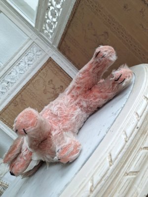 画像9: フランス垂れ耳ピンクドッグ