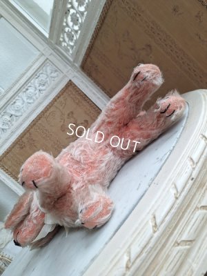 画像9: フランス垂れ耳ピンクドッグ