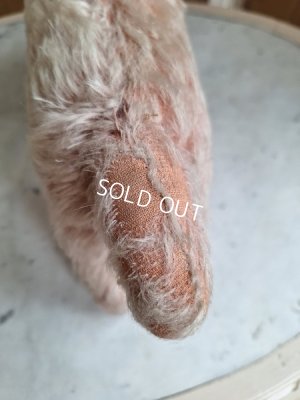 画像15: フランス垂れ耳ピンクドッグ