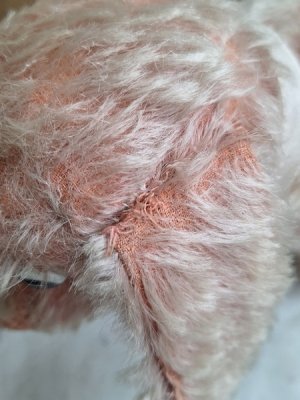 画像17: フランス垂れ耳ピンクドッグ