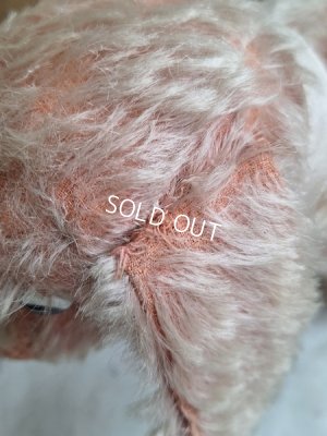 画像17: フランス垂れ耳ピンクドッグ