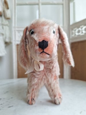 画像2: フランス垂れ耳ピンクドッグ