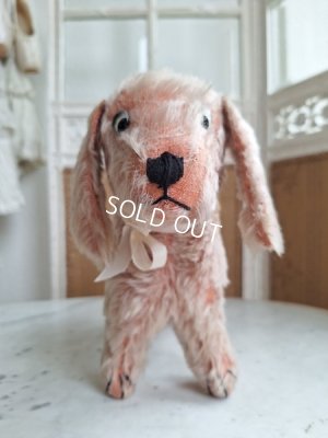 画像2: フランス垂れ耳ピンクドッグ