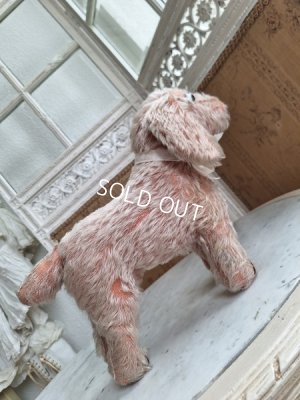 画像11: フランス垂れ耳ピンクドッグ