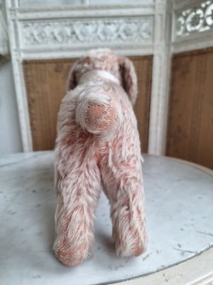 画像12: フランス垂れ耳ピンクドッグ