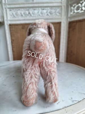 画像12: フランス垂れ耳ピンクドッグ