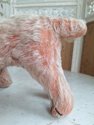 画像14: フランス垂れ耳ピンクドッグ