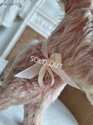 画像6: フランス垂れ耳ピンクドッグ