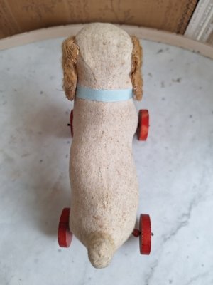 画像9: フレンチ車輪付きワンちゃん