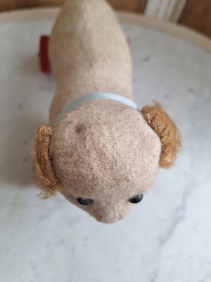 画像10: フレンチ車輪付きワンちゃん