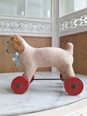 画像11: フレンチ車輪付きワンちゃん