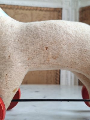 画像17: フレンチ車輪付きワンちゃん