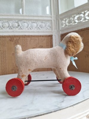 画像14: フレンチ車輪付きワンちゃん