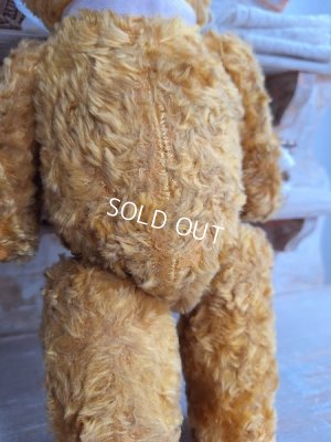 画像6: JPMフレンチテディベア