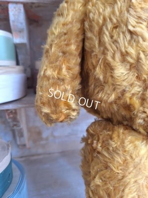 画像7: JPMフレンチテディベア