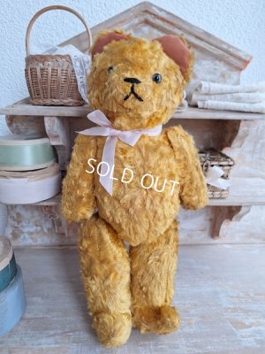 画像10: JPMフレンチテディベア