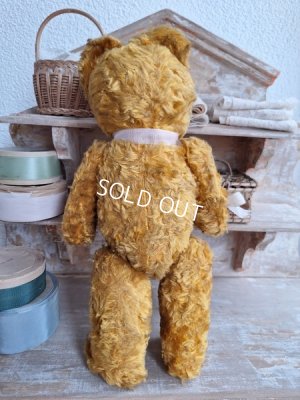 画像14: JPMフレンチテディベア