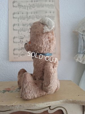 画像13: JPMフレンチテディベア