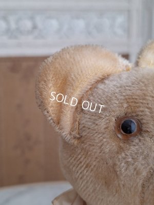 画像4: 細長フレンチテディベア