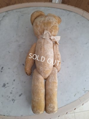 画像7: 細長フレンチテディベア