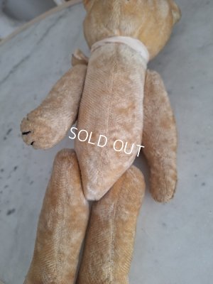 画像8: 細長フレンチテディベア