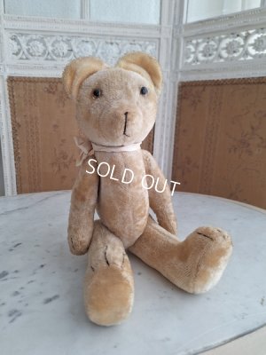 画像9: 細長フレンチテディベア