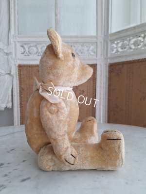 画像10: 細長フレンチテディベア