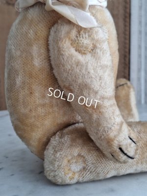 画像11: 細長フレンチテディベア