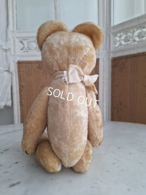 画像12: 細長フレンチテディベア