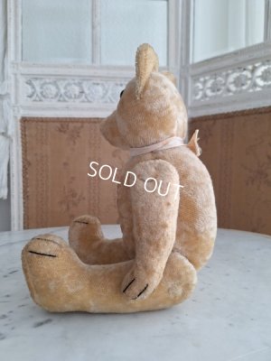 画像13: 細長フレンチテディベア