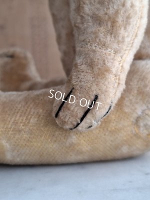 画像14: 細長フレンチテディベア