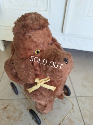 画像11: 車輪付JPMプードル