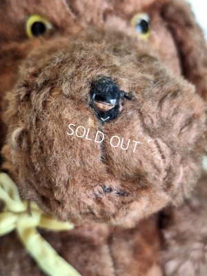 画像4: 車輪付JPMプードル