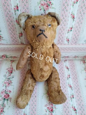 画像7: JPMフレンチテディベア