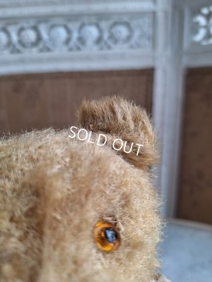 画像4: アンティークテディベア