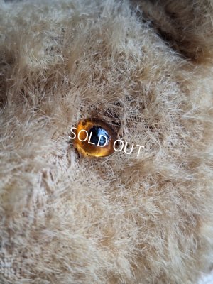 画像5: アンティークテディベア