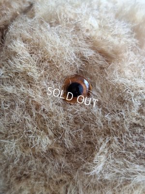 画像6: アンティークテディベア