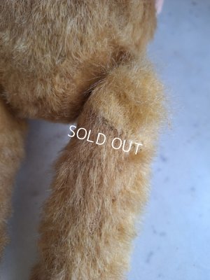 画像19: アンティークテディベア