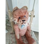 画像: JPMピンクテディベア